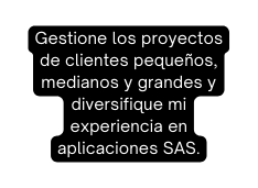 Gestione los proyectos de clientes pequeños medianos y grandes y diversifique mi experiencia en aplicaciones SAS